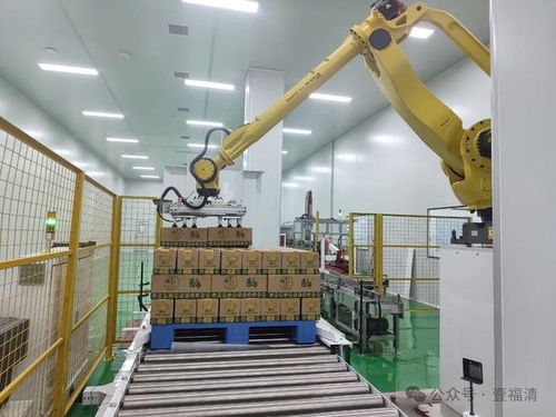 總投資6億元 外國友人來到福清這個科技產業園