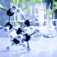 花卉,藥物,花神,藍(lán)色,葉子,試管,試驗(yàn),閱讀,讀書,藍(lán),大自然,配藥學(xué),實(shí)驗(yàn)室,學(xué)習(xí),實(shí)驗(yàn),微生物學(xué),技術(shù),開(kāi)花,掉下,成長(zhǎng),植物學(xué),植物,植物的葉子,樹(shù)葉,測(cè)驗(yàn),滴下,栽培,測(cè)試,生物,生態(tài),生物科技,生物化學(xué),生物學(xué),研究,種植,生長(zhǎng),考驗(yàn),科學(xué),化學(xué)藥品,自然,科技,背景,化驗(yàn)室,自然界,花,化學(xué)品,化學(xué),醫(yī)藥,醫(yī)療,書房,醫(yī)學(xué),花朵