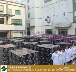 上?；瘖y品oem 集尚生物化妝品oem 化妝品oem代加工